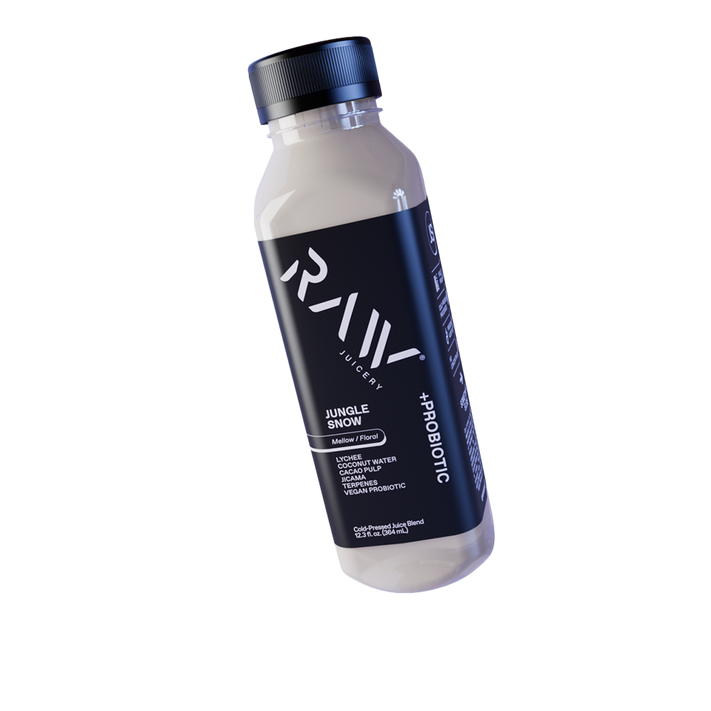 JUNGLE SNOW | 6-PACK